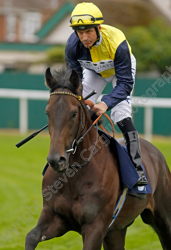 Trefor-0001 
 TREFOR (Pat Dobbs)
Yarmouth 21 Sep 2023 - Pic Steven Cargill / Racingfotos.com