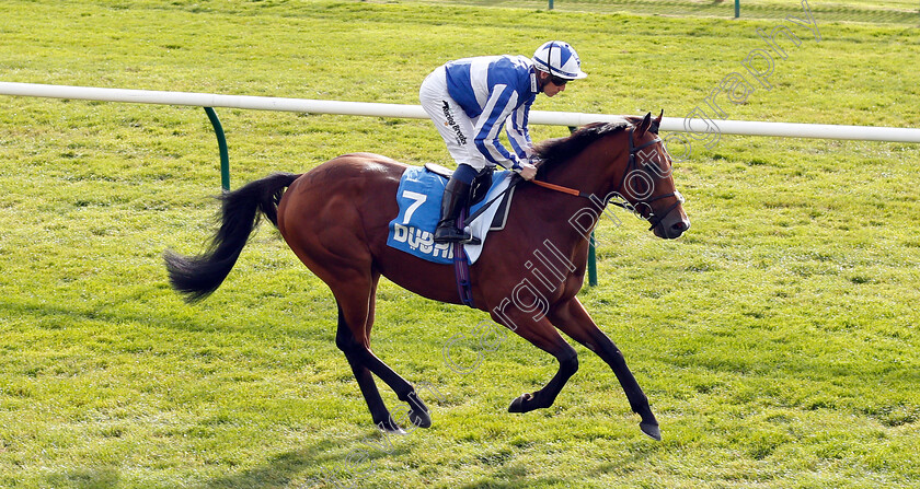 Well-Done-Fox-0001 
 WELL DONE FOX (Jim Crowley)
Newmarket 12 Oct 2018 - Pic Steven Cargill / Racingfotos.com