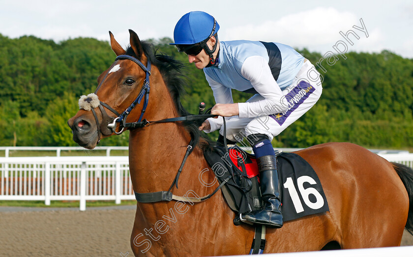 Singapore-Flyer 
 SINGAPORE FLYER (Daniel Muscutt)
Chelmsford 7 Jun 2022 - Pic Steven Cargill / Racingfotos.com