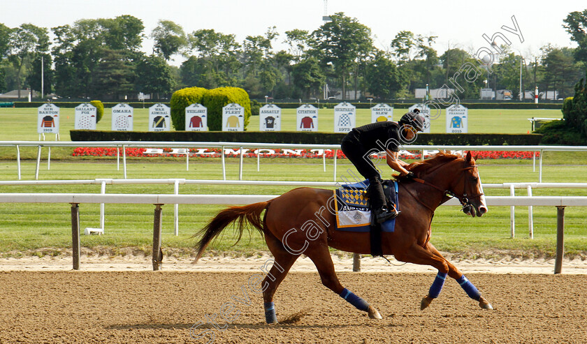 Justify-0008 
 JUSTIFY passes the names of all Triple Crown winners during exercise in preparation for The Belmont Stakes where he bids to become the 13th Triple Crown winner
Belmont Park 8 Jun 2018 - Pic Steven Cargill / Racingfotos.com