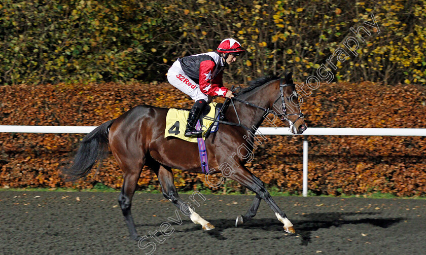 Employer-0001 
 EMPLOYER (Josephine Gordon) Kempton 22 Nov 2017 - Pic Steven Cargill / Racingfotos.com