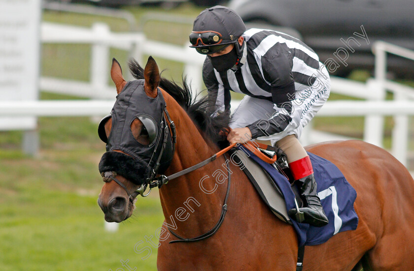 Strawberry-Jack-0001 
 STRAWBERRY JACK (Andrea Atzeni)
Yarmouth 16 Sep 2020 - Pic Steven Cargill / Racingfotos.com