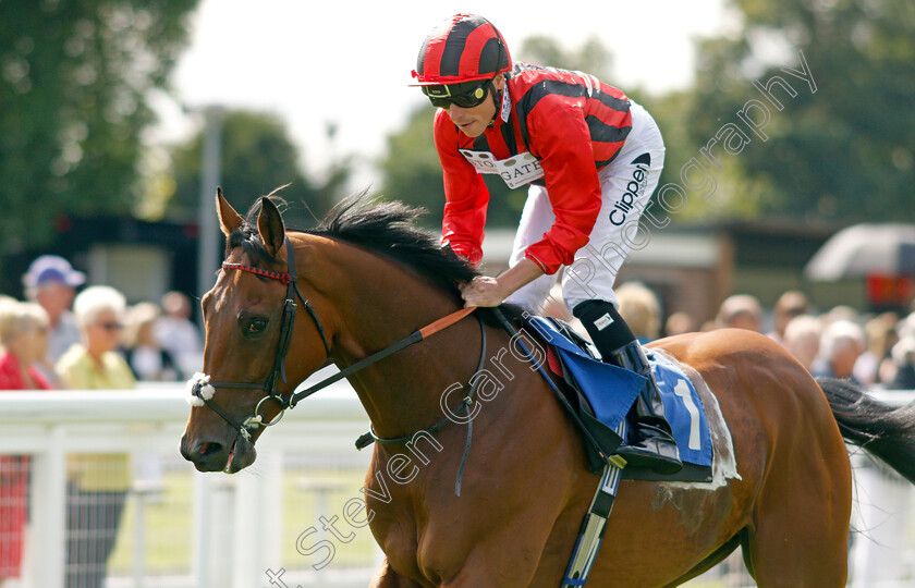 Ariel-0001 
 ARIEL (Kieran Shoemark)
Salisbury 11 Aug 2021 - Pic Steven Cargill / Racingfotos.com