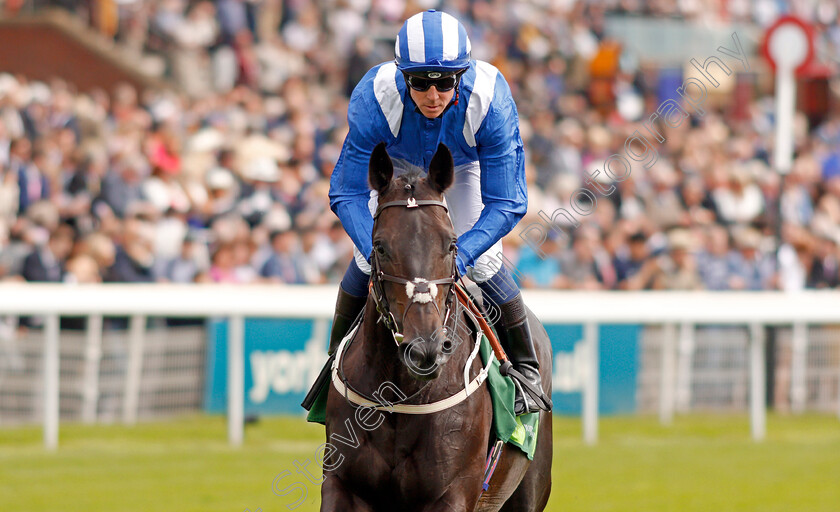 Elarqam-0001 
 ELARQAM (Jim Crowley)
York 21 Aug 2019 - Pic Steven Cargill / Racingfotos.com