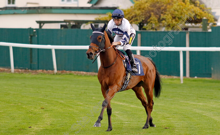 Come-On-You-Spurs-0001 
 COME ON YOU SPURS (Neil Callan)
Yarmouth 22 Oct 2024 - Pic Steven Cargill / Racingfotos.com