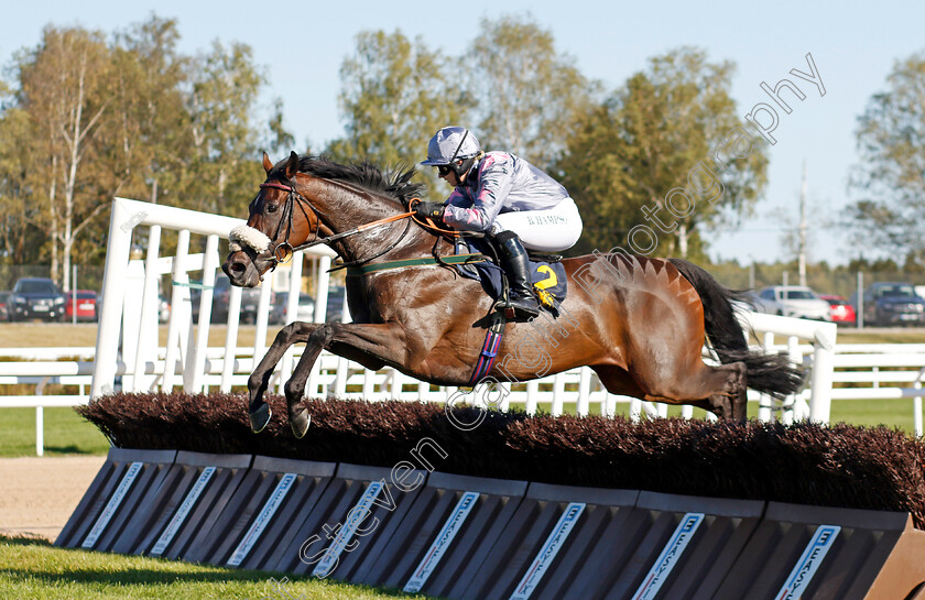 Throne-Hall-0002 
 THRONE HALL (Brodie Hampson) wins The H.M. Drottningens Pris
Bro Park, Sweden , 15 Sep 2024 - Pic Steven Cargill / Racingfotos.com