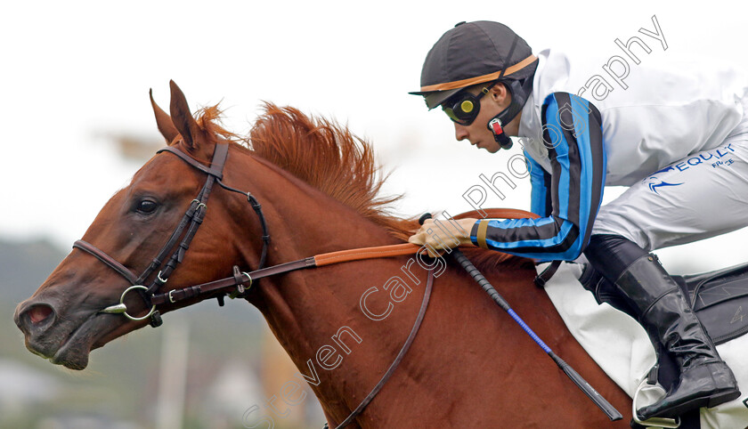 Metropolitan-0005 
 METROPOLITAN (A Pouchin) wins the Prix de Montaigu
Deauville 12 Aug 2023 - Pic Steven Cargill / Racingfotos.com