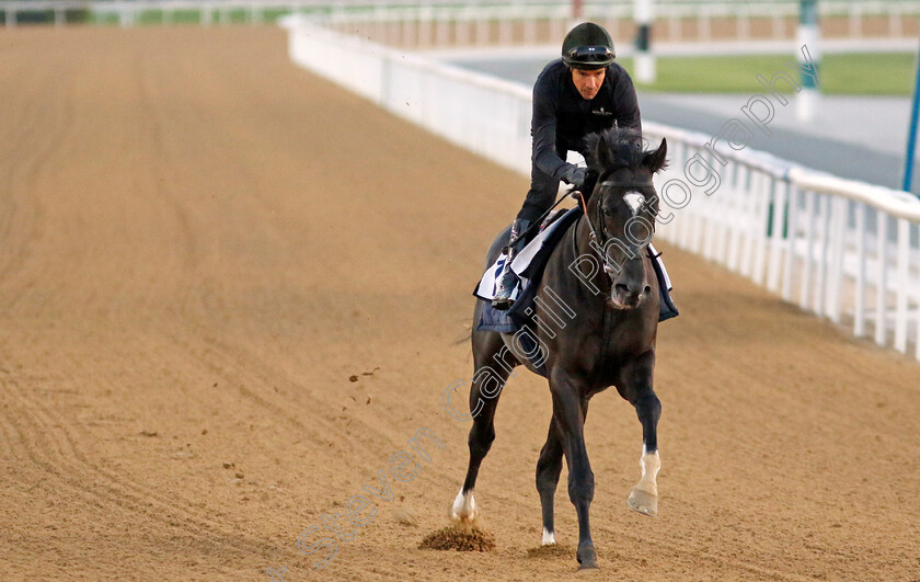 Heart-Of-Honor-0002 
 HEART OF HONOR training at the Dubai Racing Carnival
Meydan 22 Jan 2025 - Pic Steven Cargill / Racingfotos.com