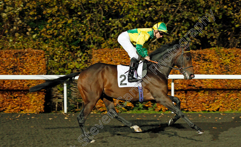 Ivadream-0001 
 IVADREAM (Jason Watson)
Kempton 20 Nov 2019 - Pic Steven Cargill / Racingfotos.com