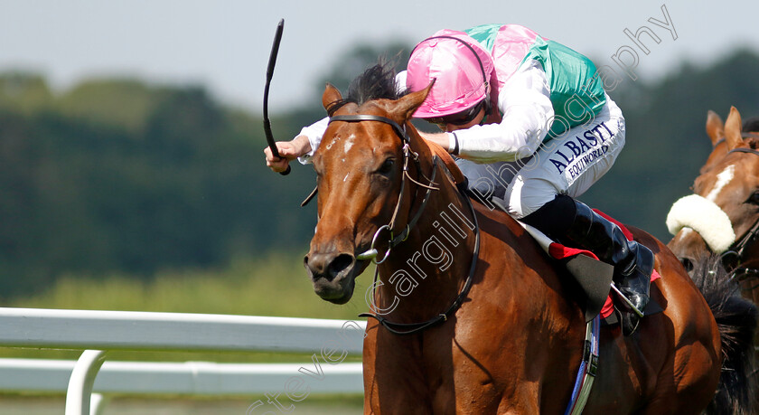 Starlore-0003 
 STARLORE (Ryan Moore) wins The Irish Stallion Farms EBF Novice Stakes
Sandown 7 Jul 2023 - Pic Steven Cargill / Racingfotos.com