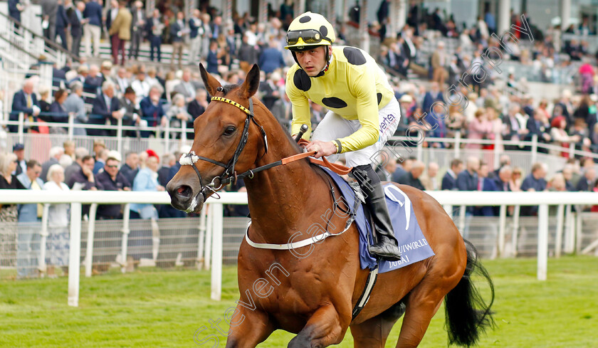 Liberty-Lane-0002 
 LIBERTY LANE (Clifford Lee)
York 18 May 2023 - Pic Steven Cargill / Racingfotos.com