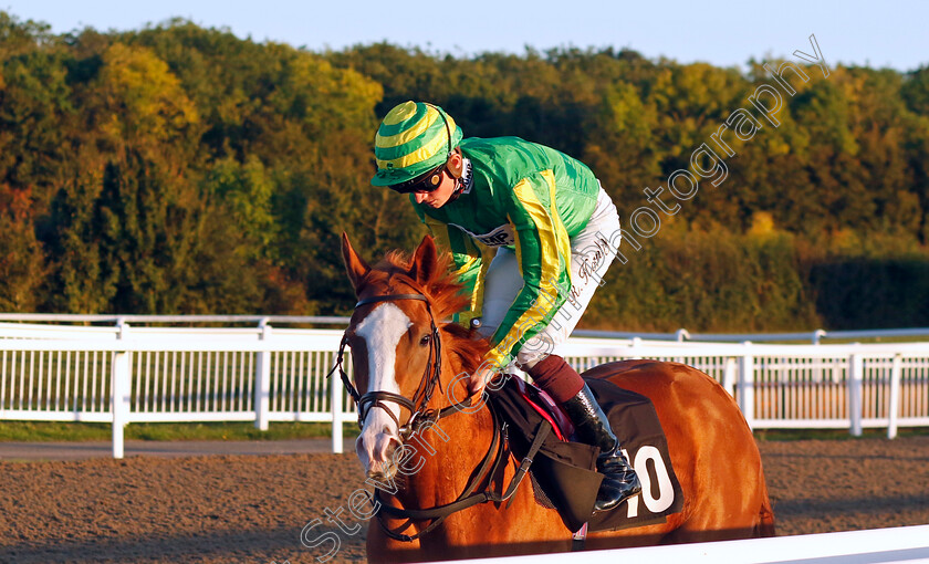 Havana-Dance-0001 
 HAVANA DANCE (Rob Hornby)
Chelmsford 3 Oct 2024 - Pic Steven Cargill / Racingfotos.com