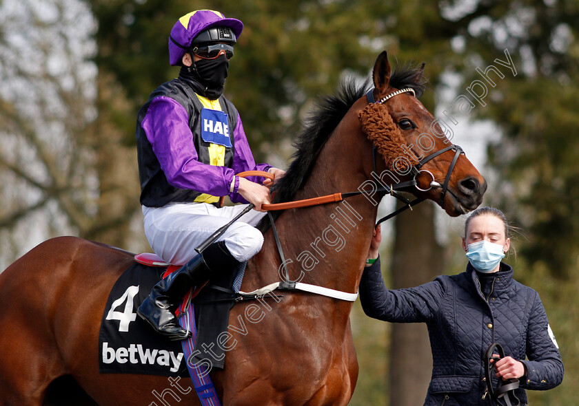 Rainbow-Dreamer-0001 
 RAINBOW DREAMER (Martin Harley)
Lingfield 2 Apr 2021 - Pic Steven Cargill / Racingfotos.com