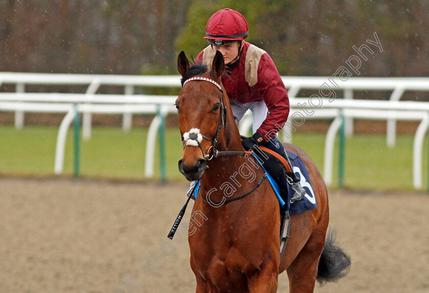 Tower-Power-0001 
 TOWER POWER (Hollie Doyle) Lingfield 13 Dec 2017 - Pic Steven Cargill / Racingfotos.com