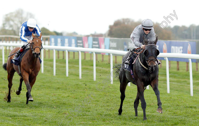 Summer-Blossom-0003 
 SUMMER BLOSSOM (Hollie Doyle) wins The Octagon Consultancy EBF Novice Stakes
Bath 17 Oct 2018 - Pic Steven Cargill / Racingfotos.com