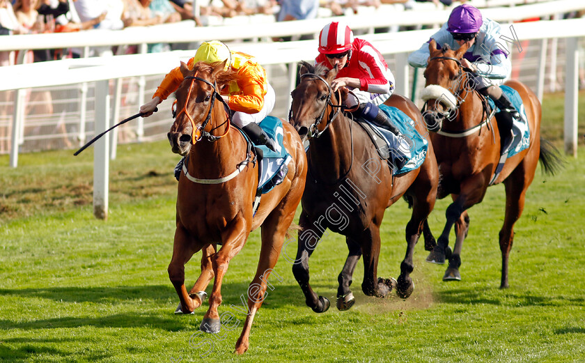 Treasure-Trove-0002 
 TREASURE TROVE (W J Lee) beats ROCKET RODNEY (centre) in The Julia Graves Roses Stakes
York 20 Aug 2022 - Pic Steven Cargill / Racingfotos.com