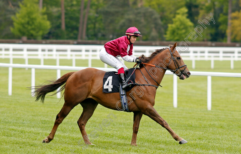 Mostawaa 
 MOSTAWAA (Laura Pearson)
Ascot 27 Apr 2022 - Pic Steven Cargill / Racingfotos.com