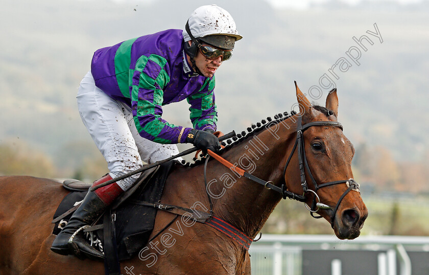 Thyme-Hill-0002 
 THYME HILL (Richard Johnson) wins The Ballymore Novices Hurdle
Cheltenham 16 Nov 2019 - Pic Steven Cargill / Racingfotos.com