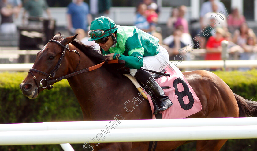 Raging-Bull-0002 
 RAGING BULL (Joel Rosario) wins The Allowance Optional Claimer
Belmont Park 8 Jun 2018 - Pic Steven Cargill / Racingfotos.com