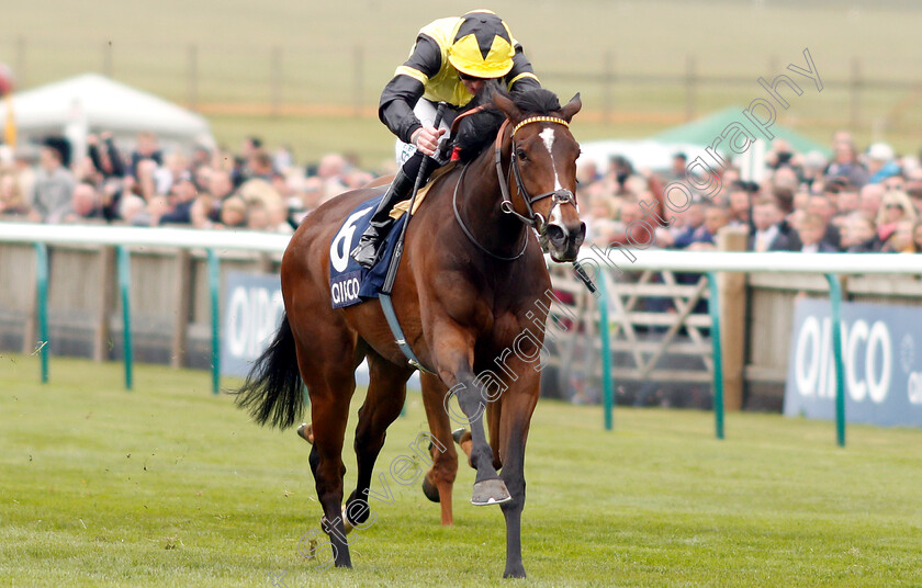 Worth-Waiting-0004 
 WORTH WAITING (James Doyle) wins The Charm Spirit Dahlia Stakes
Newmarket 5 May 2019 - Pic Steven Cargill / Racingfotos.com