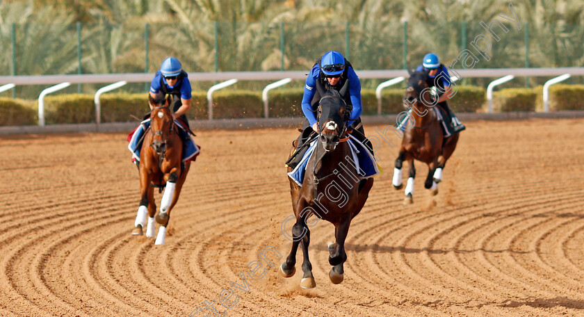 Passion-And-Glory-0003 
 PASSION AND GLORY training for The Turf Cup
King Abdulaziz Racetrack, Riyadh, Saudi Arabia 24 Feb 2022 - Pic Steven Cargill / Racingfotos.com