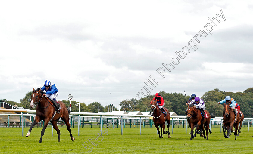 Tanmawwy-0002 
 TANMAWWY (Jim Crowley) wins The Betfair EBF Novice Stakes
Haydock 3 Sep 2020 - Pic Steven Cargill / Racingfotos.com