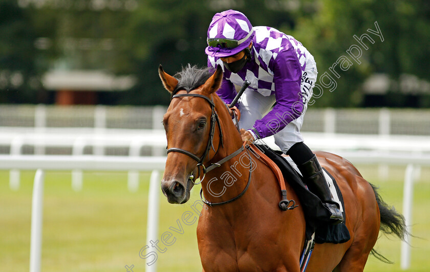 Bearaway-0001 
 BEARAWAY (Sean Levey)
Newbury 19 Jul 2020 - Pic Steven Cargill / Racingfotos.com