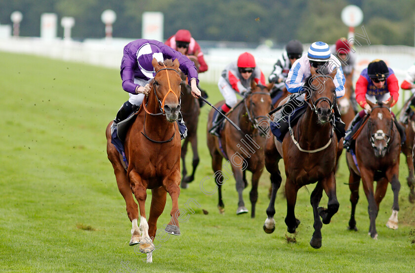 Thunder-Max-0006 
 THUNDER MAX (Rossa Ryan) wins The Coopers Marquees Maiden Stakes
Doncaster 10 Sep 2021 - Pic Steven Cargill / Racingfotos.com