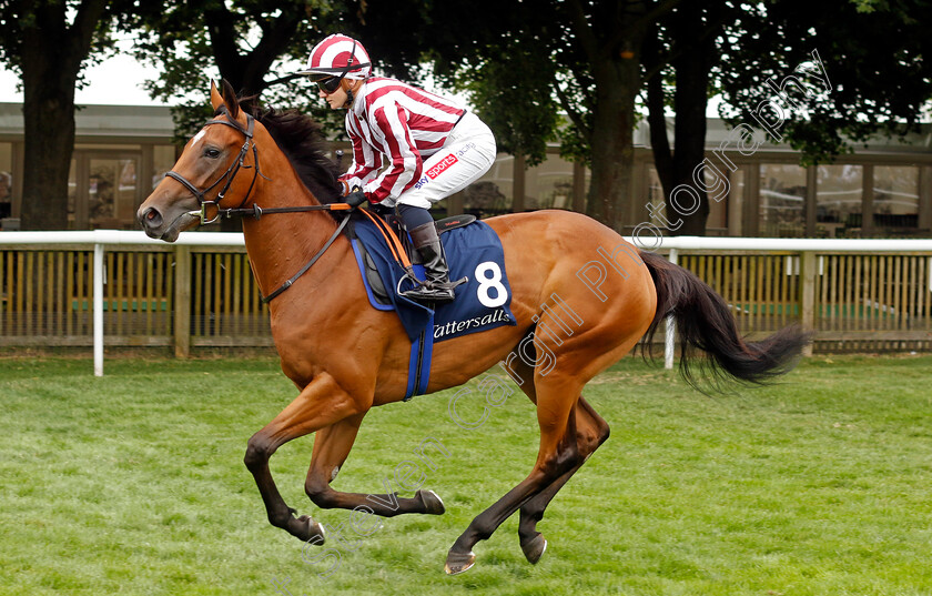 Rockin -The-Boat-0001 
 ROCKIN' THE BOAT (Hollie Doyle)
Newmarket 10 Aug 2024 - Pic Steven Cargill / Racingfotos.com