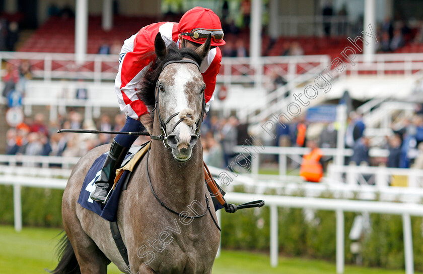 Berkshire-Breeze-0002 
 BERKSHIRE BREEZE (David Probert)
Chester 4 May 2022 - Pic Steven Cargill / Racingfotos.com