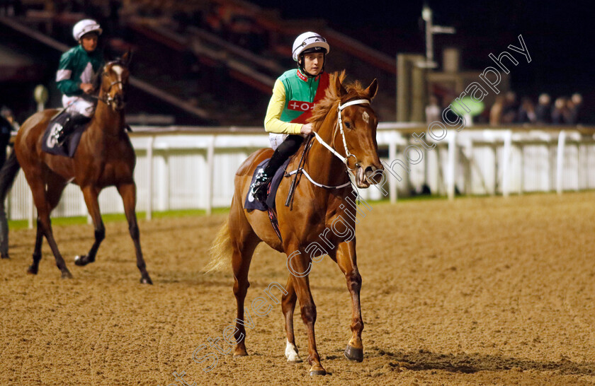 Kon-Tiki-0006 
 KON TIKI (Jonny Peate) winner of The Betmgm Irish EBF Fillies Novice Stakes Div2
Wolverhampton 20 Dec 2024 - Pic Steven Cargill / Racingfotos.com