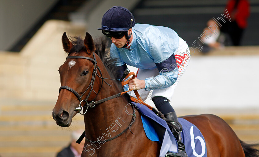 Eximious-0002 
 EXIMIOUS (Jack Mitchell)
Newmarket 23 Sep 2022 - Pic Steven Cargill / Racingfotos.com