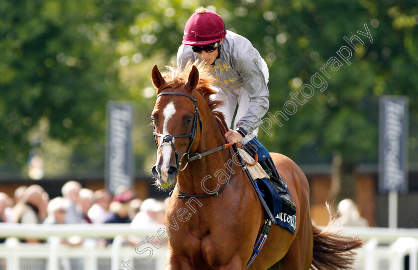 Hathal-0003 
 HATHAL (William Buick)
Salisbury 16 Aug 2018 - Pic Steven Cargill / Racingfotos.com