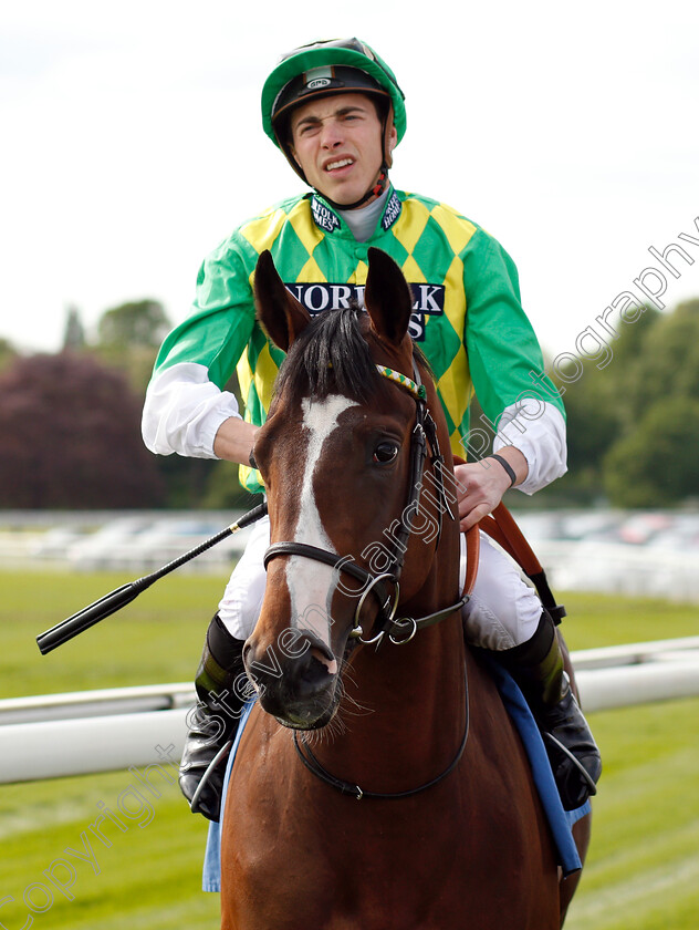 First-Thought-0001 
 FIRST THOUGHT (James Doyle)
York 17 May 2018 - Pic Steven Cargill / Racingfotos.com