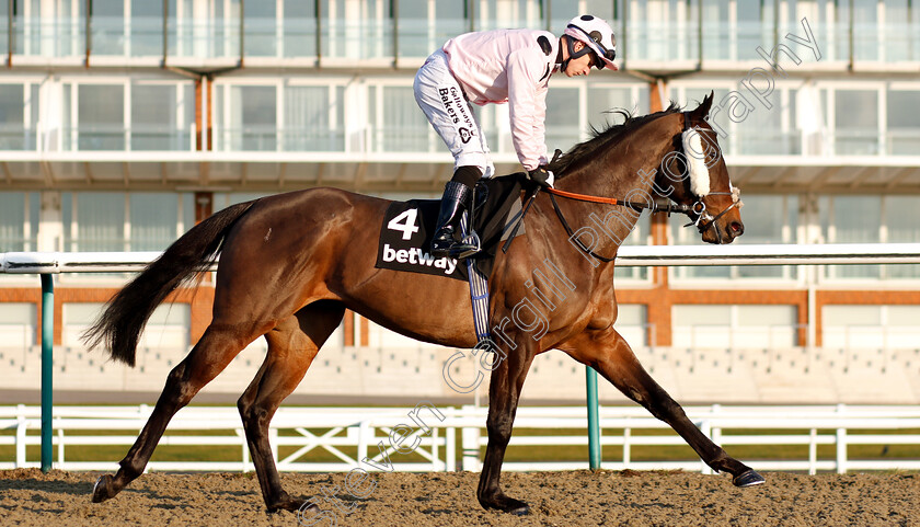 Chiefofchiefs-0002 
 CHIEFOFCHIEFS (Richard Kingscote)
Lingfield 2 Feb 2019 - Pic Steven Cargill / Racingfotos.com