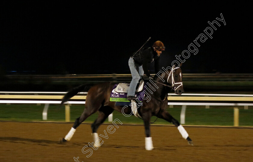 Smooth-Like-Strait-0001 
 SMOOTH LIKE STRAIT training for the Breeders' Cup Mile
Keeneland USA 1 Nov 2022 - Pic Steven Cargill / Racingfotos.com