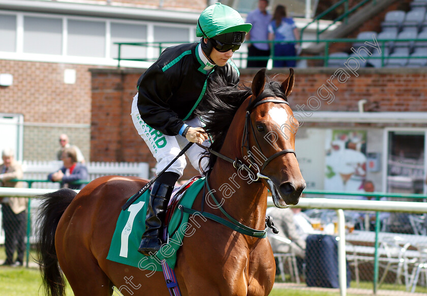 Yourtheone-0001 
 YOURTHEONE (Jason Hart)
Thirsk 4 Jul 2018 - Pic Steven Cargill / Racingfotos.com