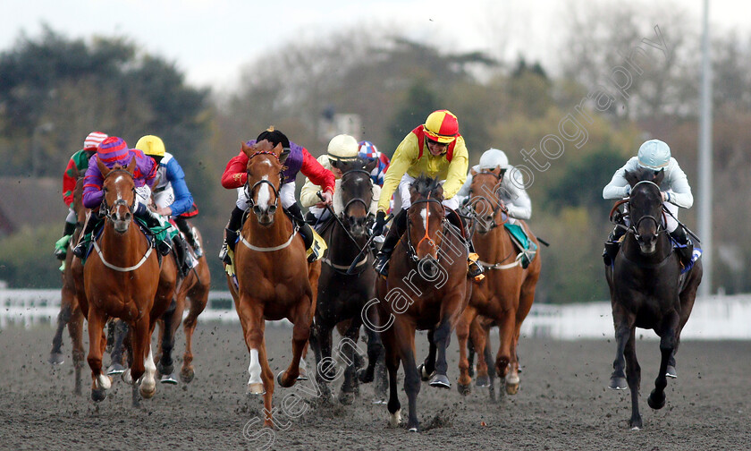 Balata-Bay-0001 
 BALATA BAY (centre, Luke Catton) beats REGULAR (2nd left) and CANAL ROCKS (right) in The 32Red Casino Handicap
Kempton 3 Apr 2019 - Pic Steven Cargill / Racingfotos.com