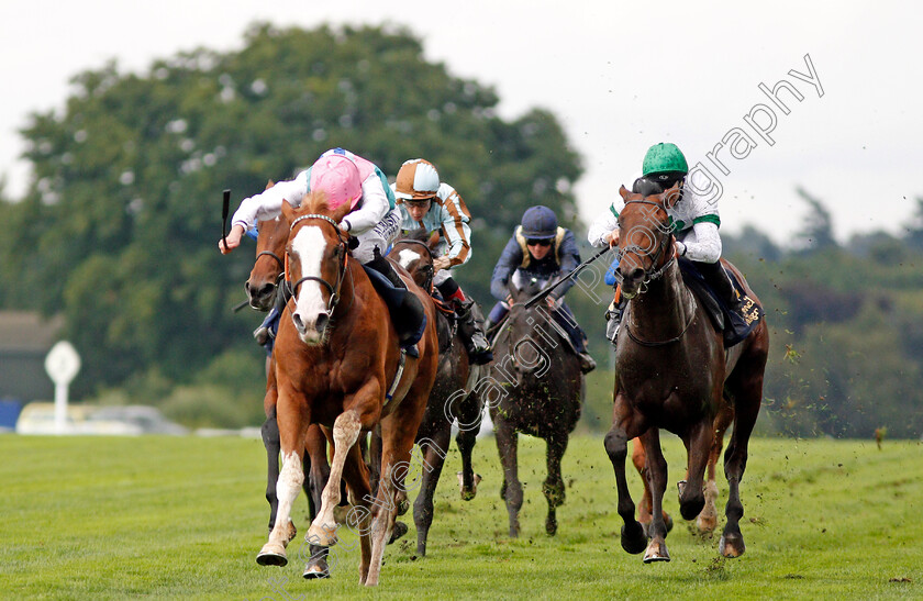 Herculean-0004 
 HERCULEAN (Ryan Moore) beats ARCHIE MCKELLAR (right) in The Charbonnel Et Walker British EBF Maiden Stakes Ascot 8 Sep 2017 - Pic Steven Cargill / Racingfotos.com