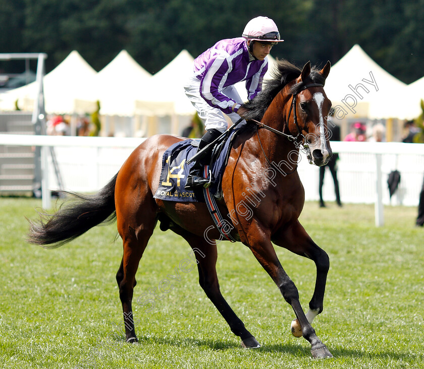 United-Front-0002 
 UNITED FRONT (Wayne Lordan)
Royal Ascot 22 Jun 2019 - Pic Steven Cargill / Racingfotos.com