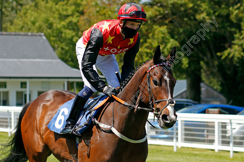 Monsieur-Fantaisie-0001 
 MONSIEUR FANTAISIE (Ciaran McKee)
Salisbury 8 Jun 2021 - Pic Steven Cargill / Racingfotos.com