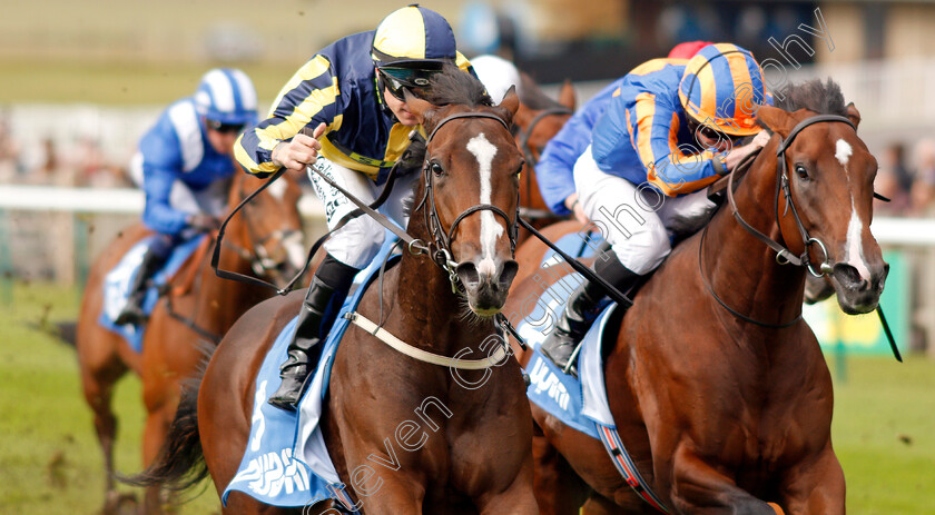 Good-Vibes-0005 
 GOOD VIBES (left, Richard Kingscote) beats PISTOLETTO (right) in The Newmarket Academy Godolphin Beacon Project Cornwallis Stakes
Newmarket 11 Oct 2019 - Pic Steven Cargill / Racingfotos.com