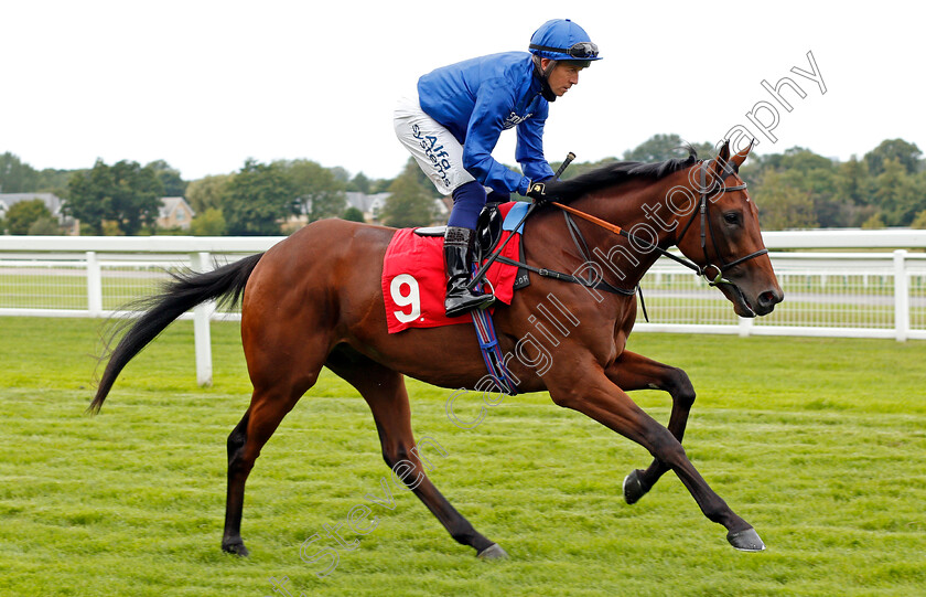 Motataabeq-0001 
 MOTATAABEQ (Jim Crowley)
Sandown 23 Aug 2020 - Pic Steven Cargill / Racingfotos.com