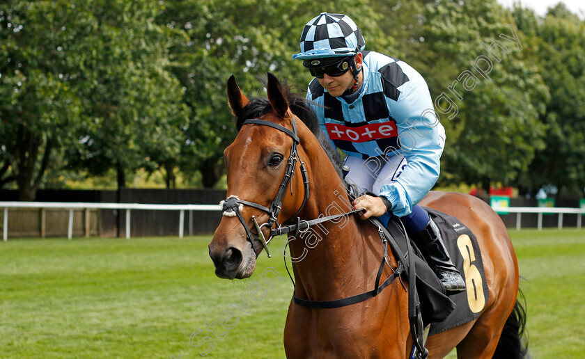 Love-You-Darling-0001 
 LOVE YOU DARLING (Marco Ghiani)
Newmarket 15 Jul 2023 - Pic Steven Cargill / Racingfotos.com