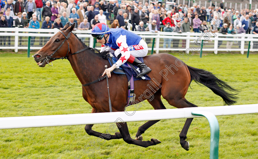 Great-Hall-0005 
 GREAT HALL (Fran Berry) wins The Get On With Dan Hague Handicap Yarmouth 21 Sep 2017 - Pic Steven Cargill / Racingfotos.com