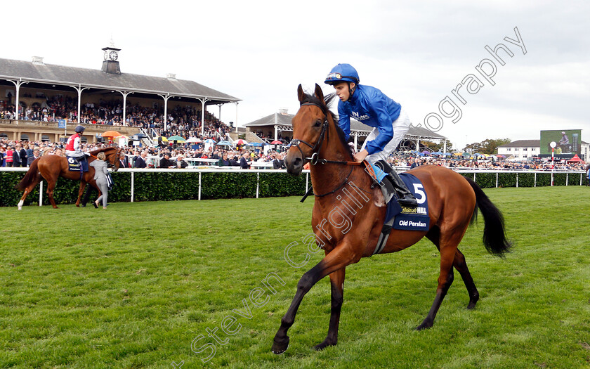 Old-Persian-0001 
 OLD PERSIAN (William Buick)
Doncaster 15 Sep 2018 - Pic Steven Cargill / Racingfotos.com