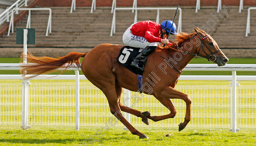 Conservatoire-0005 
 CONSERVATOIRE (Tom Marquand) wins The Download The tote Placepot App Irish EBF Nursery
Goodwood 11 Oct 2020 - Pic Steven Cargill / Racingfotos.com