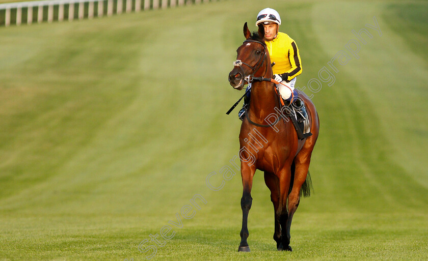 Visionara-0001 
 VISIONARA (Silvestre De Sousa)
Newmarket 28 Jun 2019 - Pic Steven Cargill / Racingfotos.com