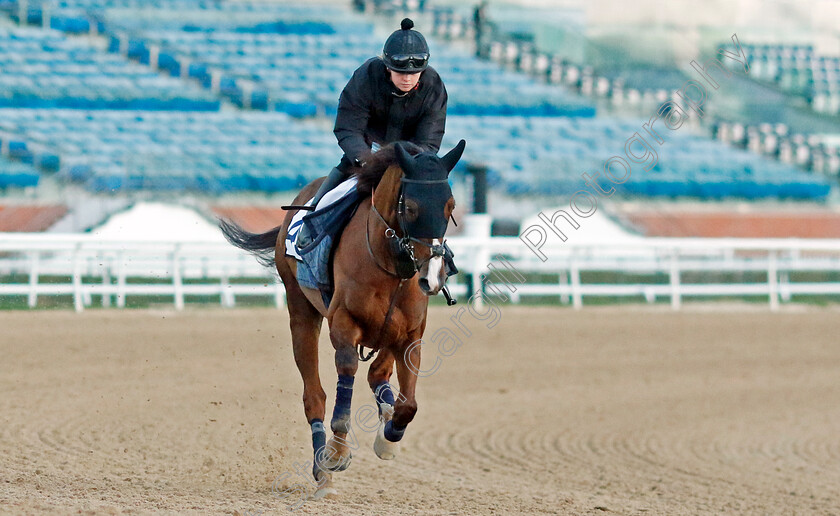 Silent-Film-0002 
 SILENT FILM training at the Dubai Racing Carnival 
Meydan 2 Jan 2025 - Pic Steven Cargill / Racingfotos.com