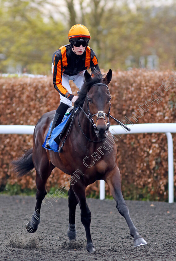 Asimov-0001 
 ASIMOV (Ross Coakley)
Kempton 3 Apr 2024 - Pic Steven Cargill / Racingfotos.com